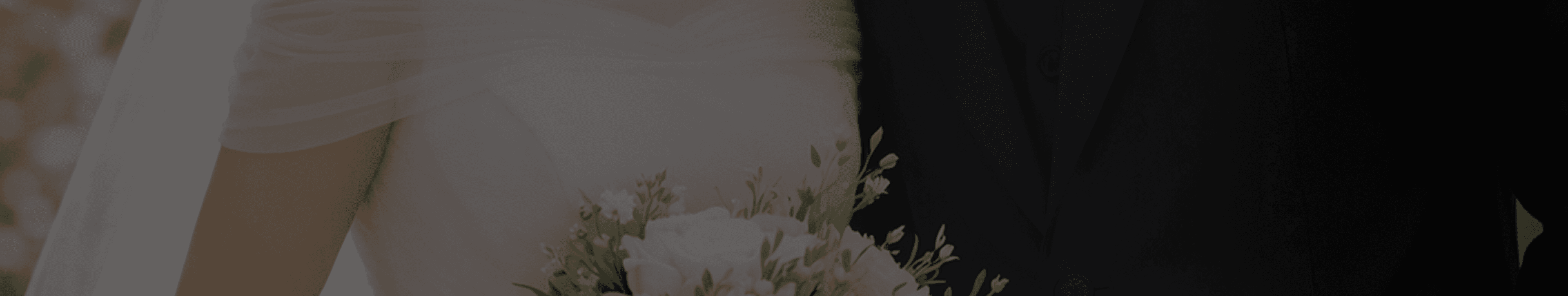 intro bg4