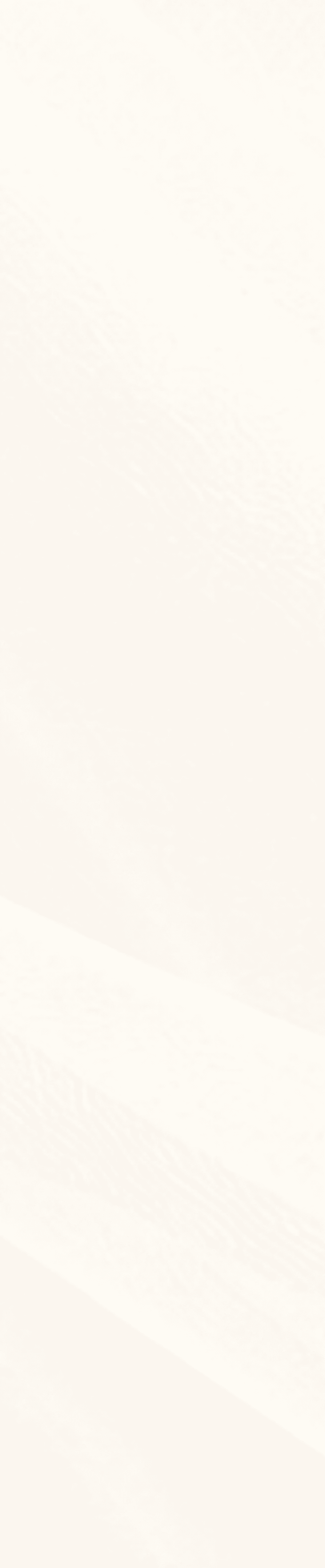 intro bg2