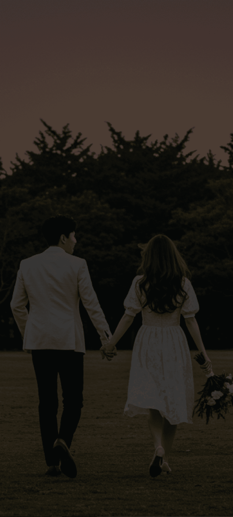main4 bg1